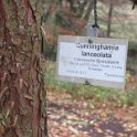 Geografisches Arboretum Rombergpark am 17,102018 (66)